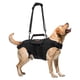 thumbnail image 1 of Arnés de Elevación para Perro RIXBEO L de Tela Oxford de Cuerpo Completo, 1 of 8