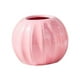 thumbnail image 2 of Florero Decoración Del Hogar Suculentas Maceta Florero De Mesa Para Estante Escritorio Cocina Rosa, 2 of 3