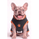 thumbnail image 1 of CHALECO ROJO PERROS Y GATOS- S, 1 of 5