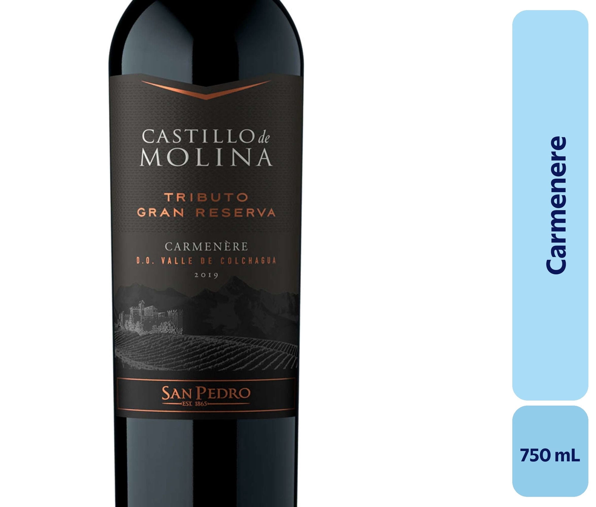 Vino Carménère Botella 750 mL Castillo Molina