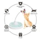 thumbnail image 2 of Juguete Interactivo Varita Y Pelota Para Gatos Mascotas, 2 of 3