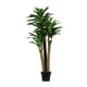 thumbnail image 1 of Planta Artificial Palo De Agua 170 Cm, 1 of 1