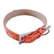 thumbnail image 1 of Collar Para Perros o Gatos Naranjo M, 1 of 3