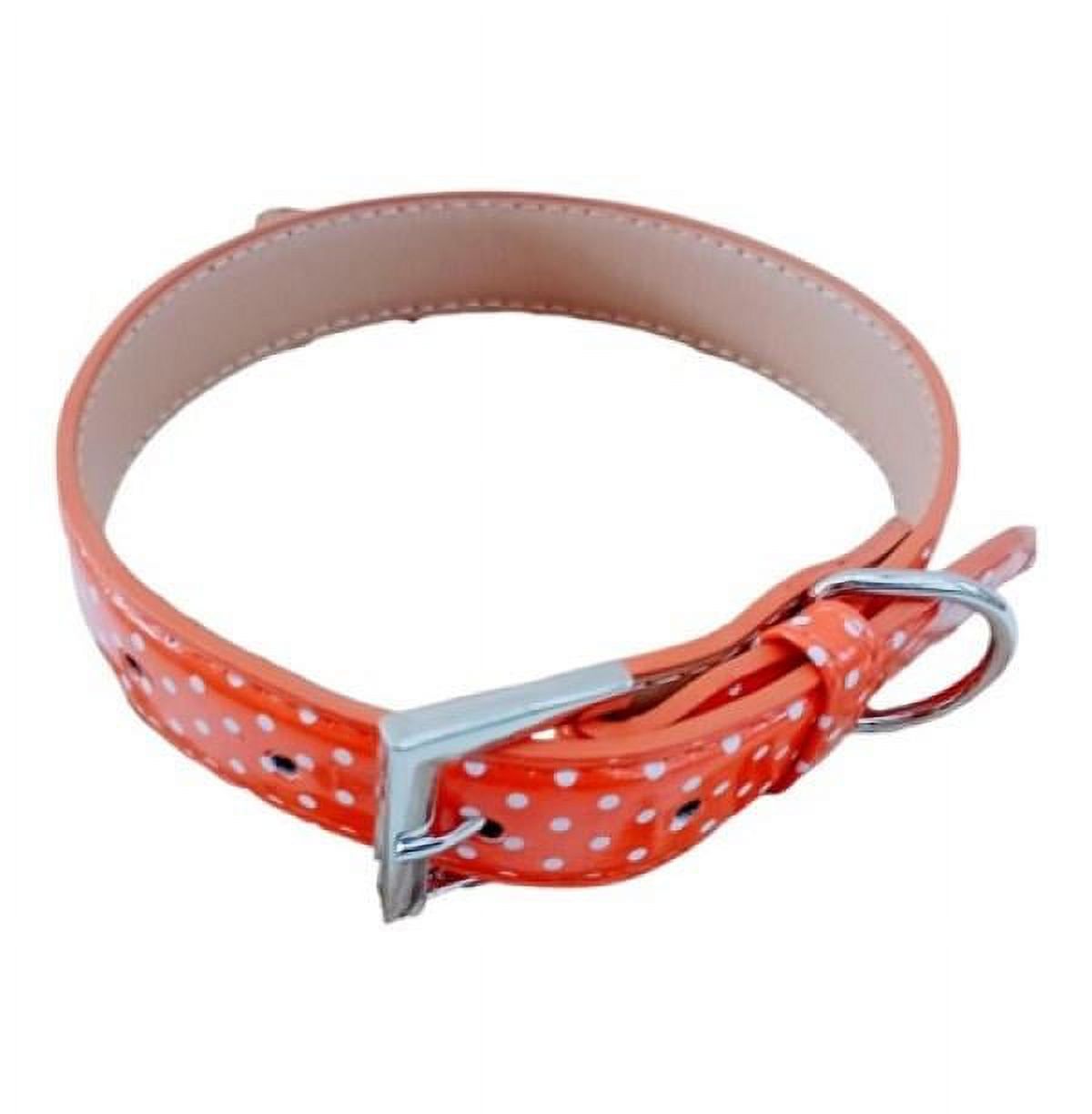Genérico - Collar Para Perros O Gatos Naranjo M