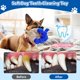 thumbnail image 5 of Juguete de Peluche con Silbido Loncoldy para Perro – Diseño de Burro, Tamaño Pequeño/Mediano, 5 of 7