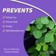 thumbnail image 4 of Herbicida Bonide Poison Products 331 Concentrado 960 ml x3, 4 of 6