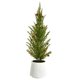 thumbnail image 1 of Árbol artificial casi natural de cedro y pino de 50 cm con maceta, 1 of 4