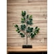 thumbnail image 3 of Rama Ficus Variegada 50cm Artificial, 3 of 3
