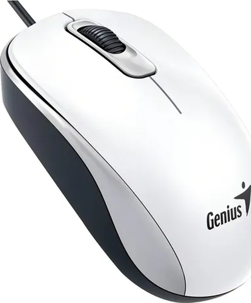 Genérico - Mouse Genius Dx-110 Usb Blanco Elegante
