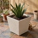 thumbnail image 4 of Set 2 Macetero Plastico Bajo Premium Base Cuadrada Conica S blanco, 4 of 7