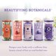 thumbnail image 5 of Té de hierbas Blueberry Lavender de The Republic of Tea, 8 bolsitas, 5 of 6