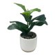 thumbnail image 2 of Planta Artificial 2 31cm, 1 unidad, 2 of 4