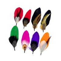 Bothyi - Plumas De Sombrero Para Sombreros Fedora Novedad Para Fiesta Sombrero De Vaquero Occidental Clip Pequeño Cantidad 10