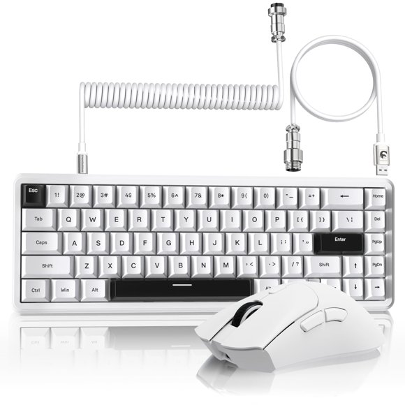 Teclado y Ratón MAMBASNAKE X65 HE 8KHz 18K DPI Blanco