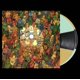 thumbnail image 1 of Vinilo LP Rise Records – Edición limitada tricolor 2xLP (2000 unidades), 1 of 1
