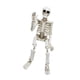 thumbnail image 5 of Mini Figura De Esqueleto, Estatua De Calavera En Miniatura Para Patio, Sala De Estar, 5 of 5