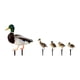 thumbnail image 4 of 5 Estacas De Pato Para Jardín, De Metal, Realistas, Para Decoración De Patio Y Granja., 4 of 5