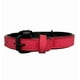 thumbnail image 4 of Collar Para Perro Eco Cuero Mascotas 2,5cm Ancho 47cm Largo Rojo, 4 of 4