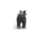 thumbnail image 5 of Figura de juguete Schleich Wild Life New 2024 American Black Bear, 5 of 5