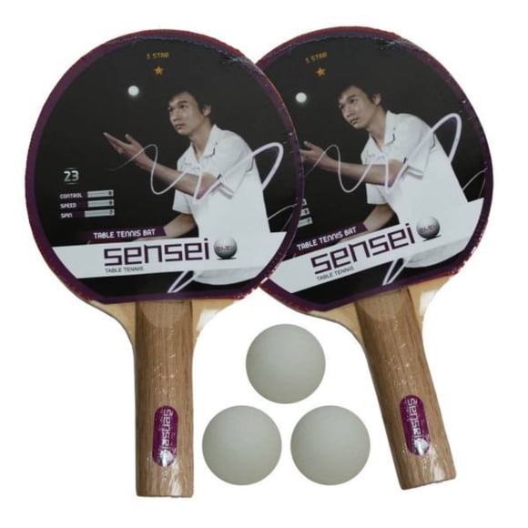 Set 2 paletas 1 estrella + 3 pelotas