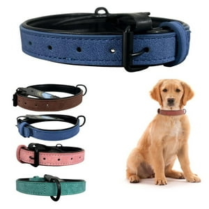 Wonder Dog - Collar Para Perro Eco Cuero Mascotas 2Cm Ancho X 42Cm Largo Azul