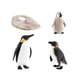 thumbnail image 2 of Penguin Life Cycle Model Animals Juego Cognitivo Para Materiales De Ense?anza Estilo B, 2 of 5