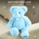 thumbnail image 5 of Peluche Bearington de peluche azul de 30 cm, 5 of 8