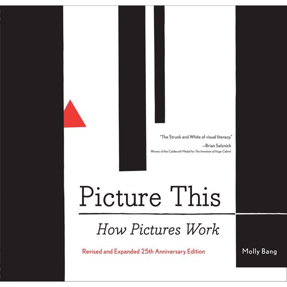 Libro Chronicle Books – Picture This: Edición del 25.º Aniversario
