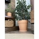 thumbnail image 3 of DECOGREEN MACETERO TERRACOTA CLASICA  L 27X30 CM, 3 of 3