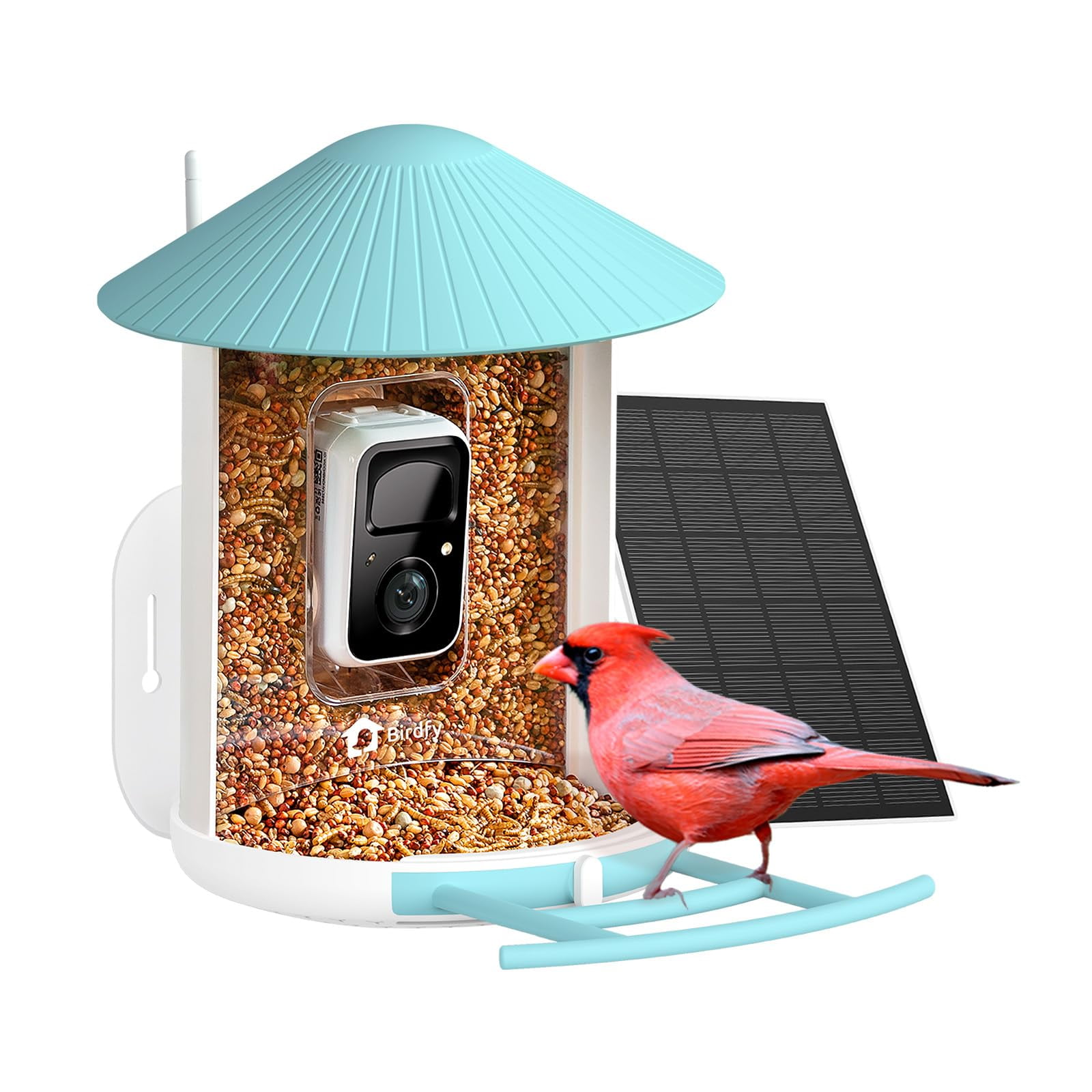 Netvue - Comedero Inteligente Para Pájaros De Birdfy Con Cámara Y Panel Solar