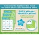 thumbnail image 3 of Juego de bingo Bright Seed Games Sight Words Nivel 1 y 2 +4 años, 3 of 6