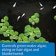 thumbnail image 2 of Botella API POND ALGAEFIX de 32 oz para el control de algas FISHAQUARI, 2 of 4
