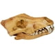 thumbnail image 5 of Réplica De Resina De Calavera Realista Falsa Cabeza De Enseñanza Modelo De Esqueleto Acuario 3, 5 of 5