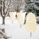 thumbnail image 5 of Plant Covers Homimp Freeze Protection, paquete de 4 unidades (60 x 80 cm), color amarillo, 5 of 7