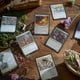 thumbnail image 5 of Juego de cartas Magic The Gathering Bloomburrow Commander Deck, 5 of 6