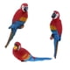 thumbnail image 2 of Ornamento animal del pájaro de la resina del loro realista 3x que cuelga mentira roja izquierda derecha, 2 of 3