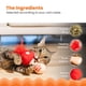 thumbnail image 4 of Juguete Para Gatos A Really Fungi Cat Kicker Con Hierba Gatera Roja, 4 of 8
