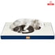 thumbnail image 1 of Cama Antiestrés Grande Perros Colchón Ortopedico 120x80cm Azul Con Crema, 1 of 11