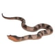 thumbnail image 3 of Juguete De Serpiente De Simulación, Juguete De Broma, Juguetes Educativos, Juguete Para Niños, Adornos Para El Hogar, 3 of 5