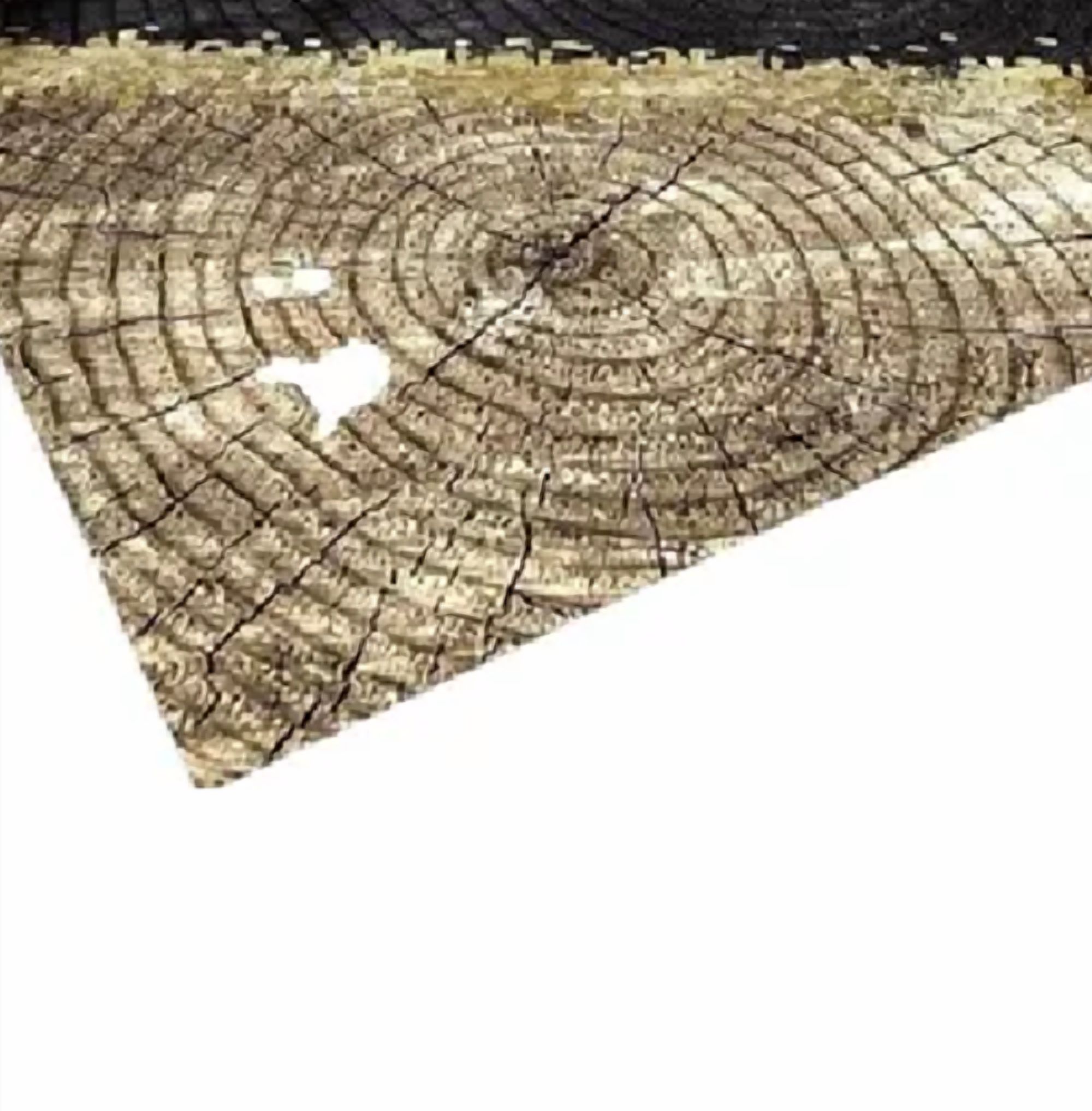 Genérico - Alfombra 3D Living O Dormitorio 200X240Cm