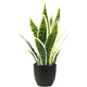thumbnail image 1 of Planta artificial sansevieria lengua de suegra, 1 of 3