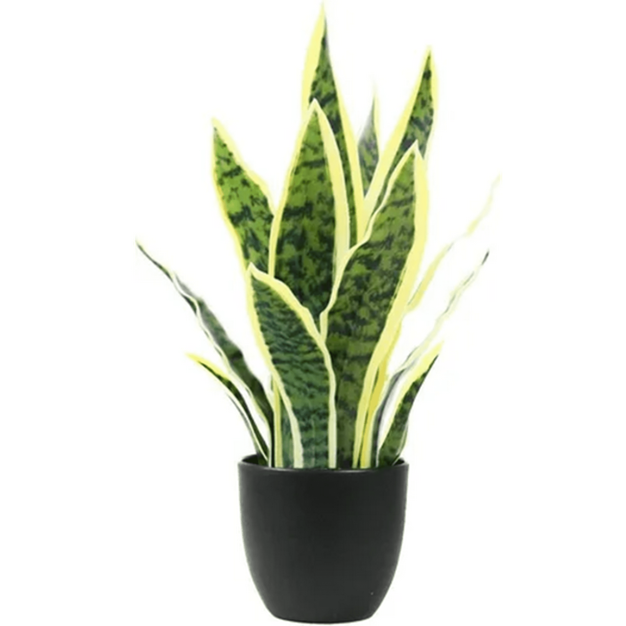 Genérico - Planta Artificial Sansevieria Lengua De Suegra