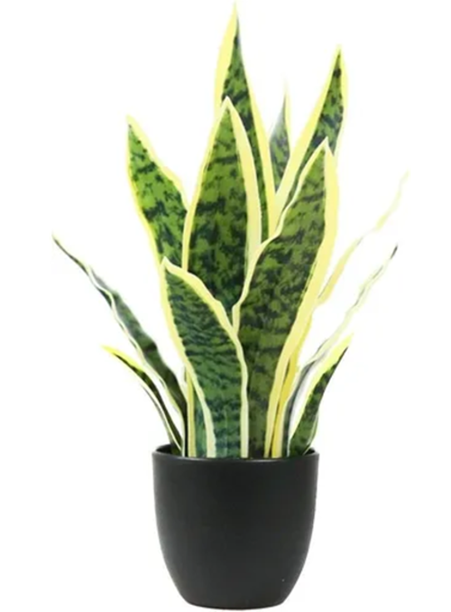 Genérico - Planta Artificial Sansevieria Lengua De Suegra