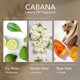 thumbnail image 2 of Aceite de fragancia Aromify Cabana 500 ml Bergamota, Jazmín y Ámbar, 2 of 7
