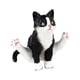 thumbnail image 5 of Figura de Gato en Miniatura de Alta Simulación Personajes de Gatos Animales Colección de Juguetes Juego, Figuras de Gatos Figuras de Gatos Pequeños Ju Negro, 5 of 5