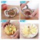 thumbnail image 5 of Apple Slicer YUEJUJJ, descorazonador resistente de acero inoxidable, 12 hojas, 5 of 7