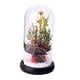 thumbnail image 1 of Adorno Navide?o Artificial Cubierta De Vidrio Para La Oficina En Casa Decoración Navide?a Cono De Pino Fruta Dorada, 1 of 5