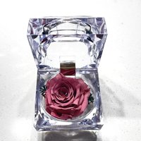 Allpa-Roseamor - Joyero Mini Con Rosa Preservada Natural Violeta