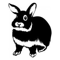 Rienda Libre Graphics - Decomural Fluffy Rabbit Pet Animals Ws-33022