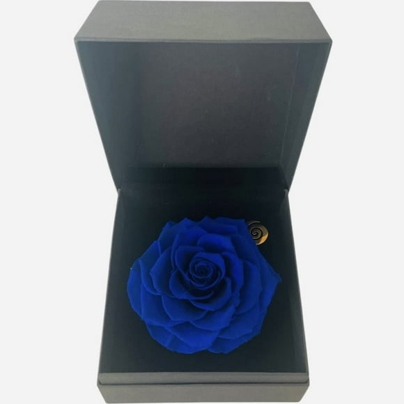 Gift Box 6 Con Rosa Preservada Natural Bonita Azul